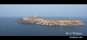 صورة مأ خوذة من السماء لجزيرة رشڨون (عين تموشنت)