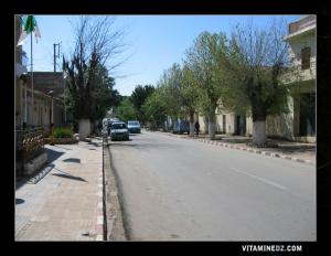 مدينة عين فزة (تلمسان)