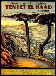 صورة رمزية لبلدية ثنية الأحد (ولاية تيسمسيلت)