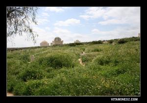 هناك عدة أضرحة بمنطقة سيدي قادة