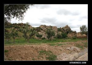 شكل الهرّ لهذه الصخرة أعطى إسمها للقرية المجاورة له (حجرة الڨط)