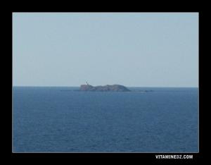 صورة للجزيرة المسطحة ملتقطة من شاطئ الأندلسيات (وهران)