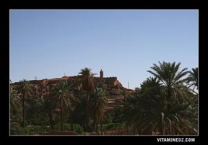 قصور بضواحي قرية عسلة (ولاية النعامة)