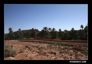 وادي و قصور قرية عسلة (ولاية النعامة)