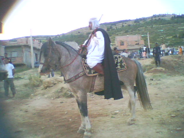 وعدة بمنطقة سبع شيوخ (ولاية تلمسان)