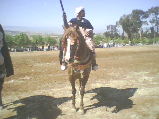 وعدة بمنطقة سبع شيوخ (ولاية تلمسان)