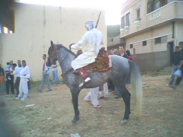 فرسان في وعدة بمنطقة سبعة شيوخ (ولاية تلمسان)