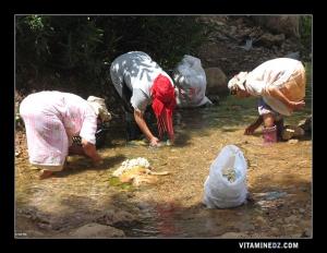 نساء يغسلن الصوف بمنبع عين الخادم (ولاية تلمسان)