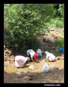 نساء يغسلن الصوف بمنبع عين الخادم (ولاية تلمسان)
