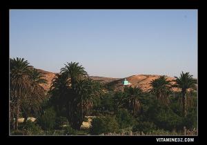 ضريح سيدي معمر بن عالية