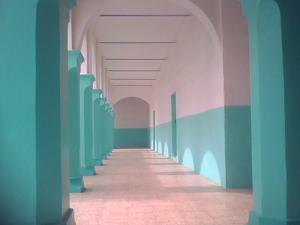 الولي الصالح سيدي محمد الشارف الغوث