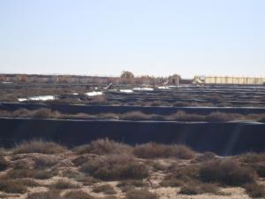 ما الفائدة من 100 حوض...؟