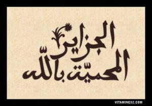 الجزائر محمية بإذن الله