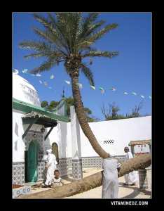 جامع و ضريح سيدي لخضر