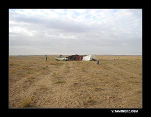 مخيم بدوي بمنطقة سيدي ناصر (ولاية البيض)