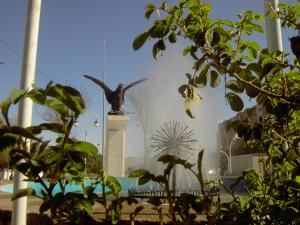 وسط مدينة تبسة