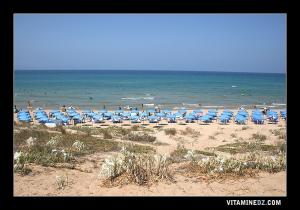 شاطئ سلامندر في فصل الصيف (ولاية مستغانم)