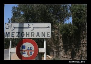 الطريق الجنوبي المؤدي إلى مدينة مزغران (ولاية مستغانم)