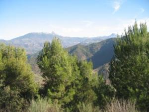 Paysage naturel de Draa Kébila