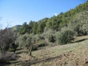 Paysage naturel de Draa Kébila