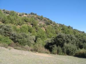 Paysage naturel de Draa Kébila