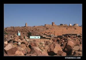 قصور العسلة