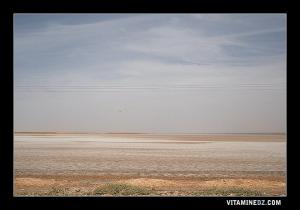 سبخة الشط الشرڨي بضواحي البيض