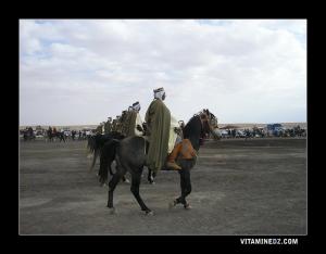 مهرجان فلكلوري بوعدة سيدي ناصر