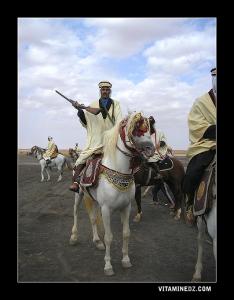 مهرجان فلكلوري بوعدة سيدي ناصر