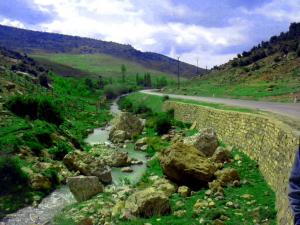 جمال منطقة حيدوسة في فصل الربيع