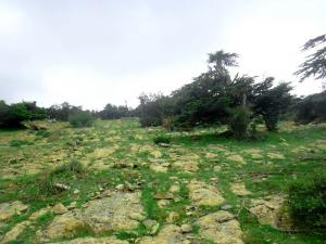 جمال منطقة حيدوسة في فصل الربيع