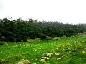 جمال منطقة حيدوسة في فصل الربيع