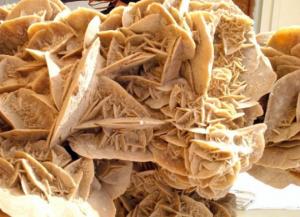 وردة الرمال