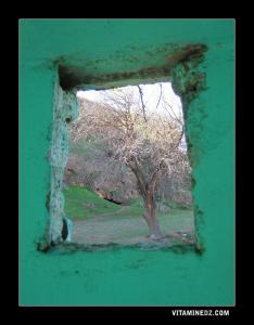 منظر داخلي لضريح سيدي حديش