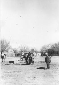 الشريعة سنة 1957