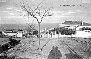 صورة قديمة لمستغانم