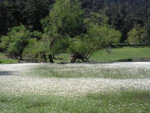 منطقة مداد في فصل الثلوج