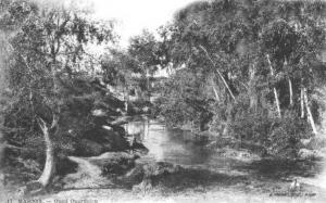 واد وردفو الذي يمر بمغنية