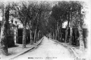 شارع رئيسي بمدينة البليدة (الفترة الإستعمارية)