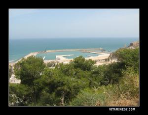 الميناء الجديد لمرسى بن مهيدي