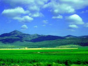 الطريق الرابط بين بلدية حيدوسة و أولاد شعبة