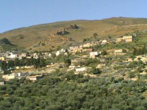 قرية عين دوز