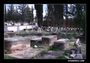 المقبرة اليهودية لمدينة سعيدة