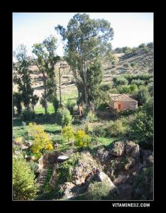 مبنى استعماري قديم