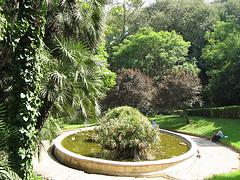 حديقة الحرية بالعاصمة