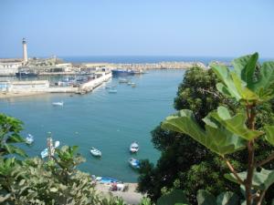 ميناء مدينة شرشال (ولاية تيبازة)