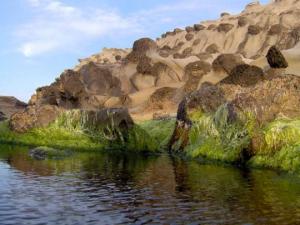 منظر طبيعي جميل لمنطقة سيدي القرشي ببلدية أزفون (ولاية تيزي وزو)