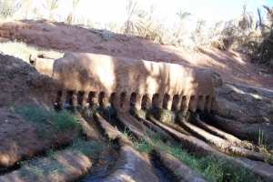 واحة طاسفاوت بضواحي بلدية تيميمون (ولاية غرداية)