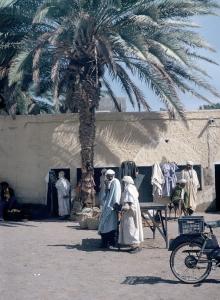 حي بواحة في ورڨلة