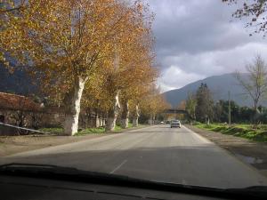 الطريق المؤدي إلى بلدية شيفة (ولاية بليدة)